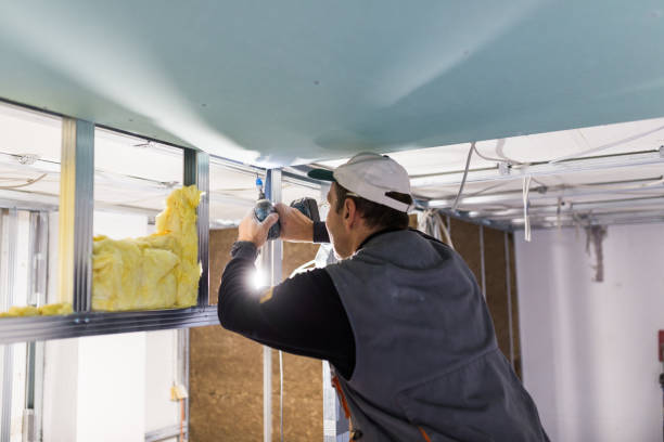 Best Wall Insulation Contractor  in Islip Terrace, NY